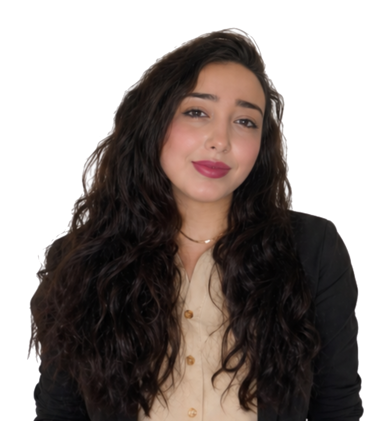 Ms. Alaa Salem