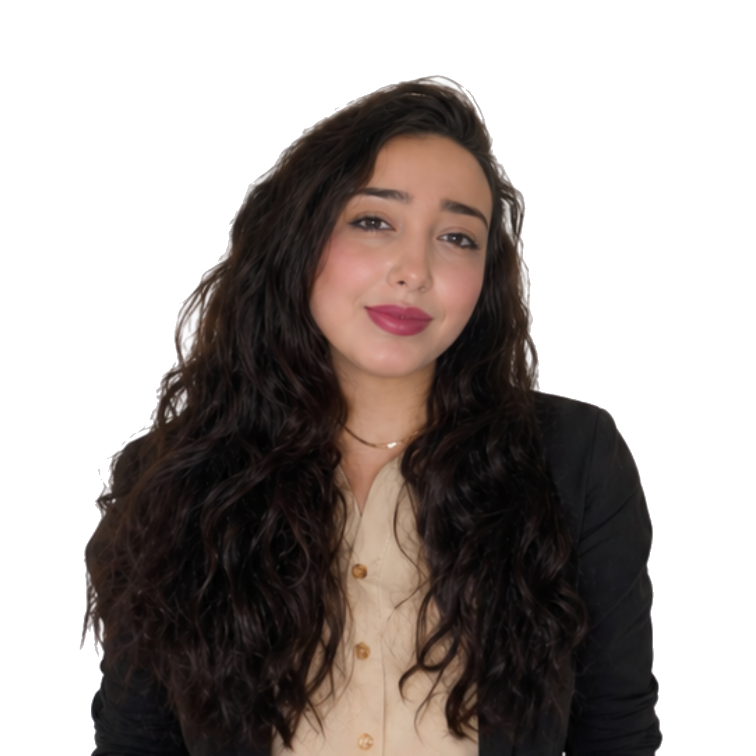 Ms. Alaa Salem